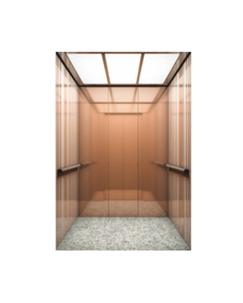 Fh K36 Fashion Simple Rose Gold Passenger Elevator 