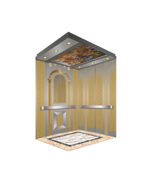 Fh K10 Commercial Etching Stainless Steel Car Wall Passenger Elevator 
