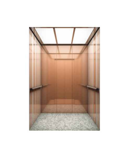 Fh K36 Fashion Simple Rose Gold Passenger Elevator