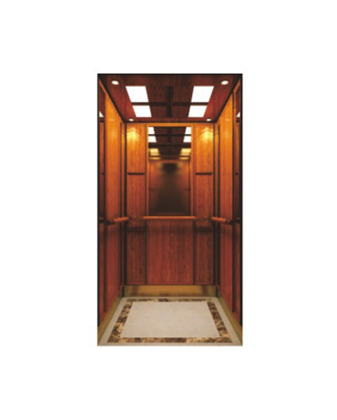 Fh H08 Half-body Mirror And Wood Veneer Home Elevator