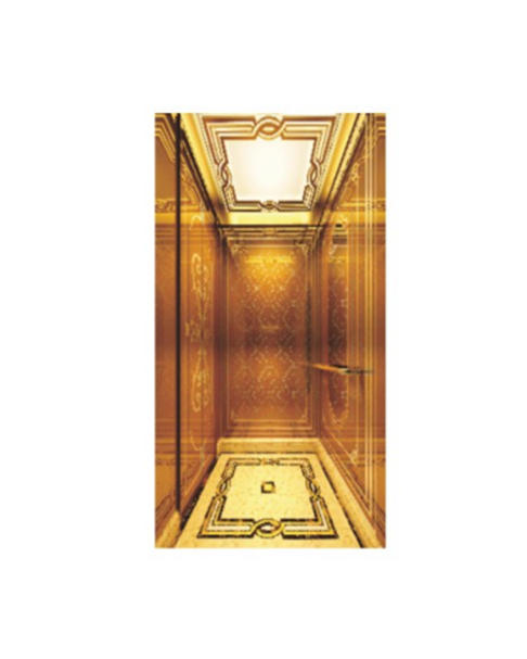 Fh H09 Luxury Golden Hairline Stainless Steel Home Elevator