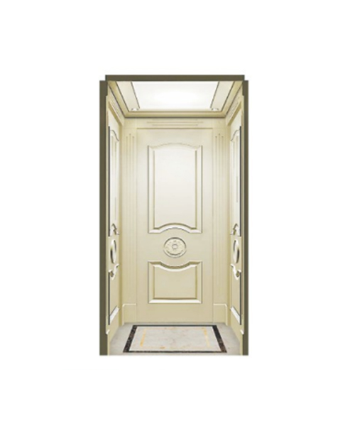 Fh H11 Acrylic Lighting Panel Home Elevator 